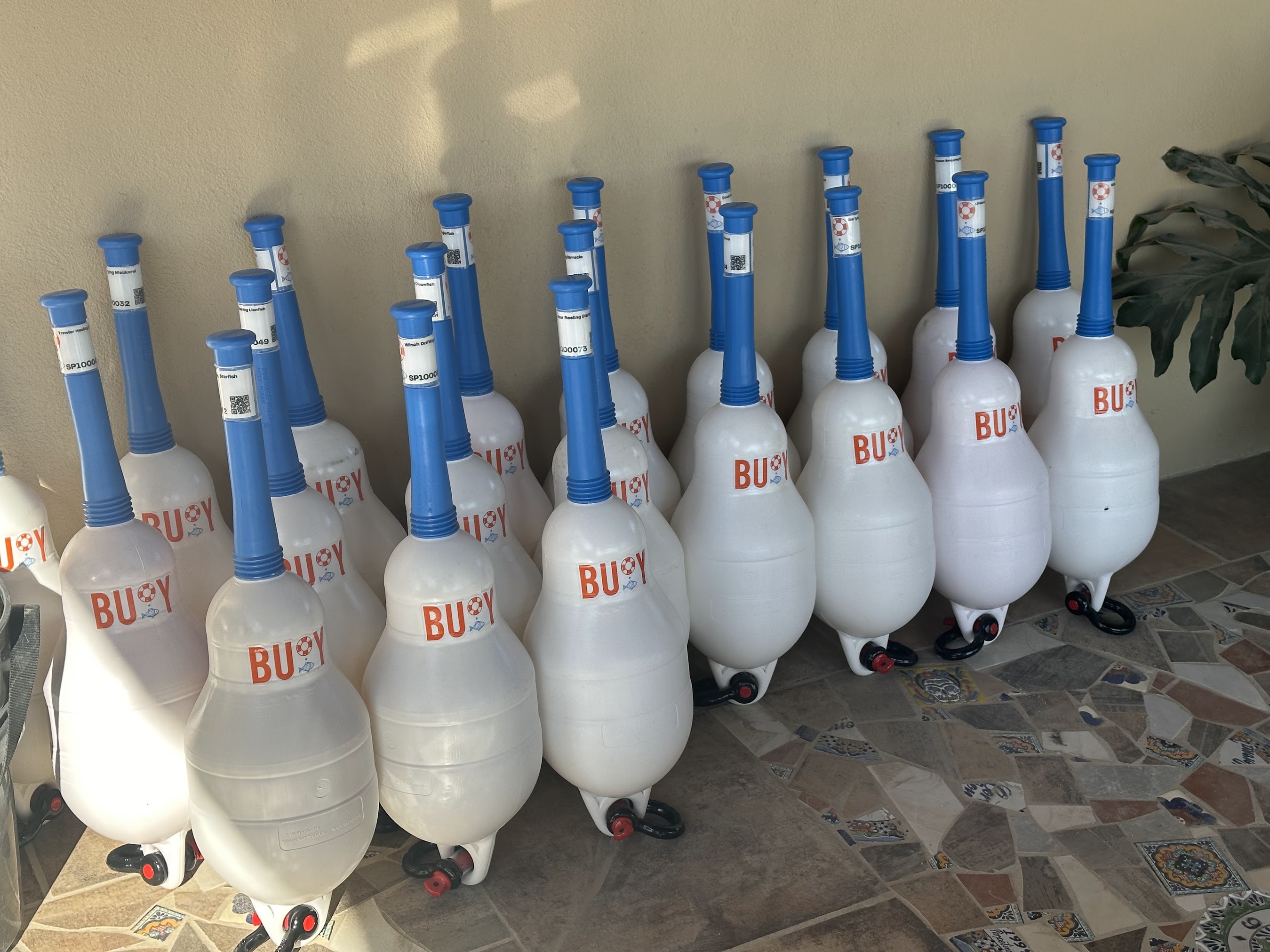 Baja Buoys Deployed in Punta Abreojos, Baja California Sur, Mexico